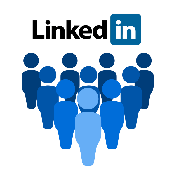 Shina Fawole - LinkedIn Profile